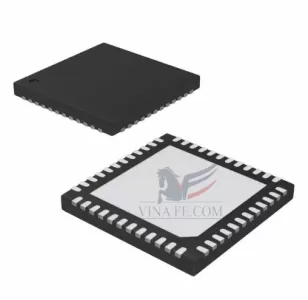 IC W5500